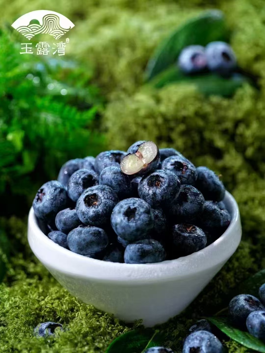 V66.COM·(中国区)官方网站